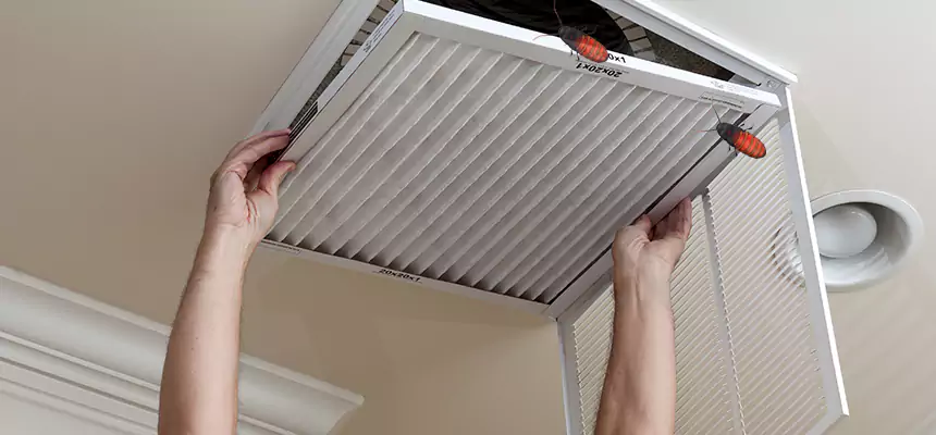 Preventive Cockroach-Proofing for Ducts in Nashua