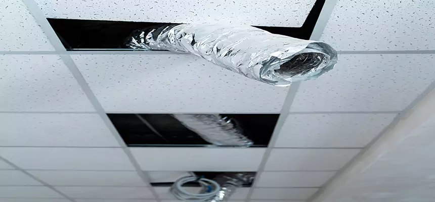 Affordable HVAC Sanitizing After Pest Removal in Nashua