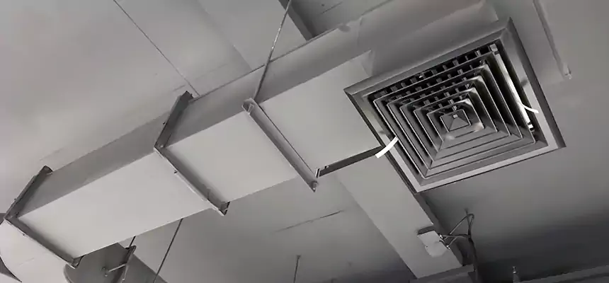 Restorative Allergy Relief Vent Cleaning – Coil, Blower & Housing Detail in Nashua