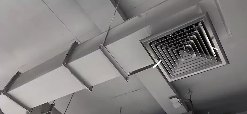 Our Pest Removal From Ducts Services in Nashua, NH