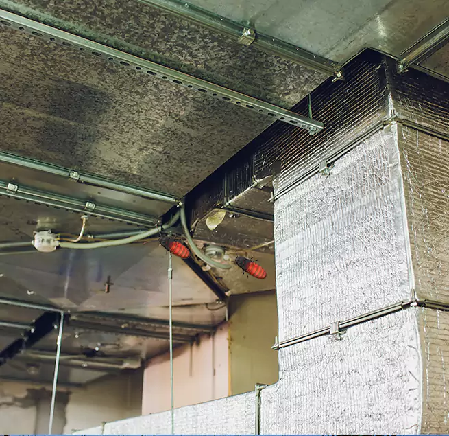 Why Homeowners & Businesses Trust Us in Nashua, NH?