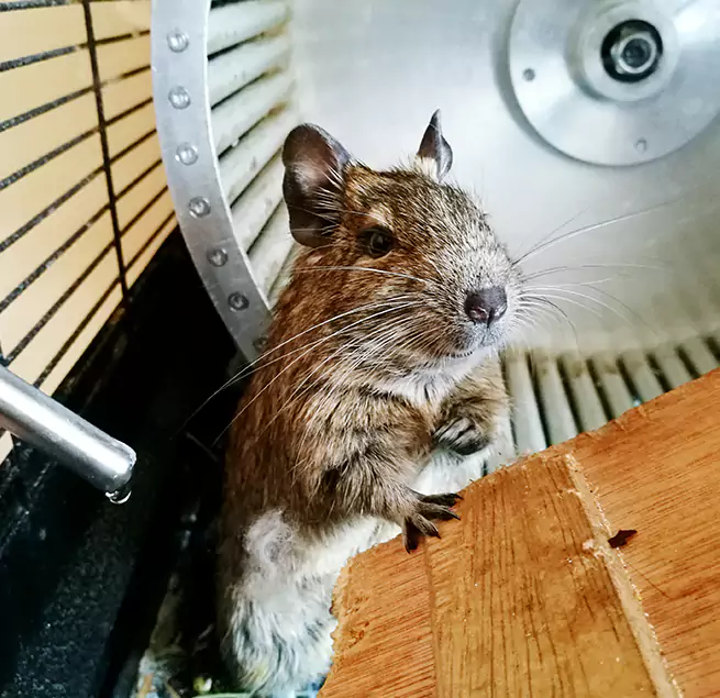 Why Homeowners & Businesses Trust Us Nashua, NH